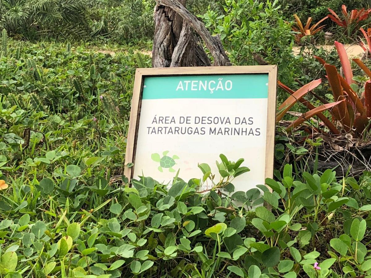 Victor Hugo Pousada Com Natura E L'Occitane Santo André Exterior foto