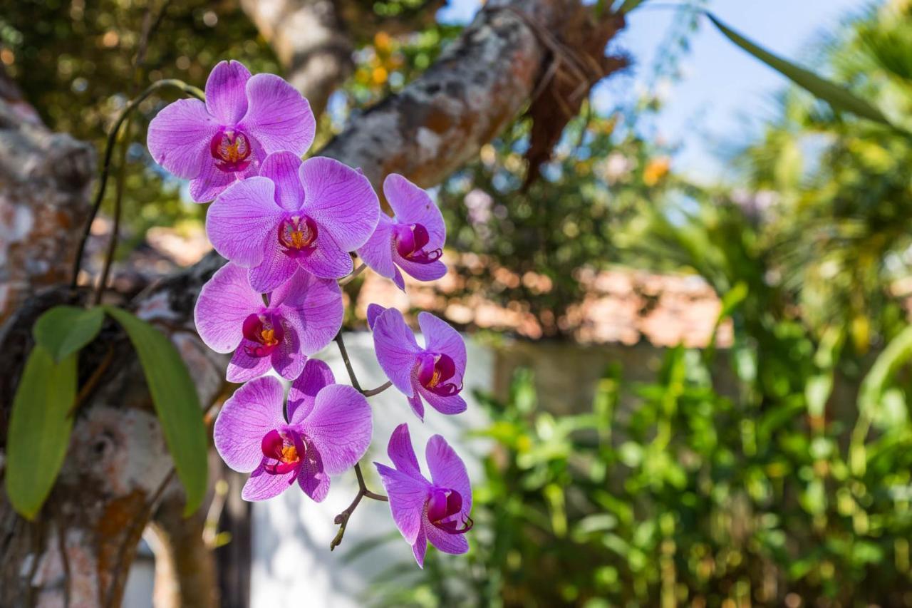 Victor Hugo Pousada Com Natura E L'Occitane Santo André Exterior foto